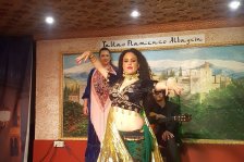 572 granada flamenco show